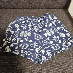 Patagonia 水陸両用