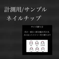 【計測用/サンプル】ネイルチップ