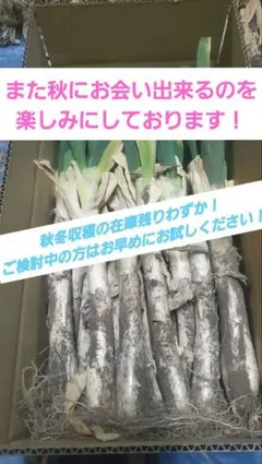 2026年最新】カモネギ ネギでしばくの人気アイテム - メルカリ