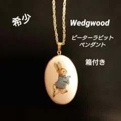 【アンティーク】ピーターラビット Wedgwood ペンダント　専用箱付のサムネイル