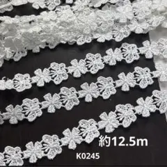 ケミカルレース約12.5m