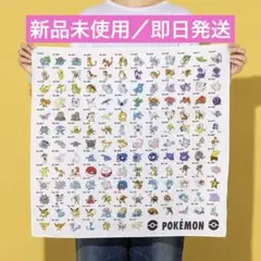 ポケモン 30周年 スリーコインズ3COINS BIGハンカチ
