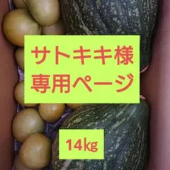 サトキキ様 カボチャ トマト セット 14㎏