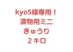 kyo5様専用！漬物用ミニきゅうり２キロ