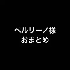 ペルリーノ様 リクエスト 3点 まとめ商品