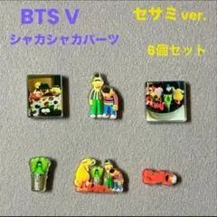 BTS V シャカシャカパーツ セサミストリート 6個セット
