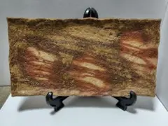 2025年最新】小西陶古の人気アイテム - メルカリ