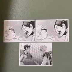 ハイキュー クロニクル 思い出スナップフォトカード フォトカード 月島蛍