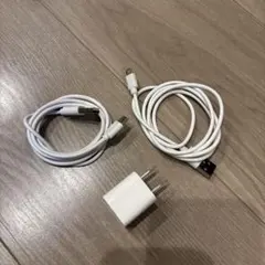Apple USB-Cケーブルと充電器セット