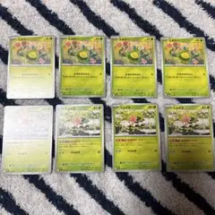 スボミー・シェイミ 各4枚セット