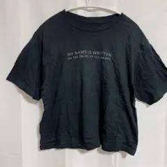 Item thumbnail for item d6321fab-725f-40d7-acb0-a69710bff519