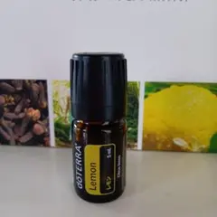 ❗️CP発送 誤開封 未使用 最安】ドテラ ラベンダー 5ml 期限28年1月