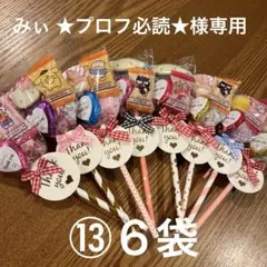 みぃ ★プロフ必読★様専用