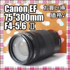 ✨お買得望遠レンズ✨Canon EF 75-300mm F4-5.6 Ⅱのサムネイル