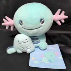 ポケモン Little Daydream ウパーとヌオー ぬいぐるみ