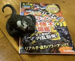 ドラゴン最強王図鑑　シークレット　共工