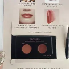 DECORTE ROUGE DECORTÉ CREAM GLOW 13G 20G