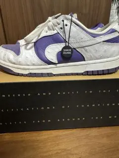 25cm Nike WMNS Dunk Low 