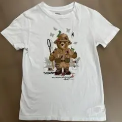Polo Ralph Lauren ポロベア Tシャツ 130cm