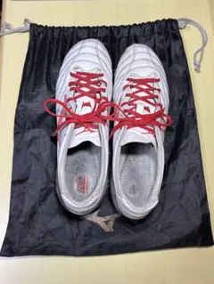 Item thumbnail for item 683fffa7-f121-4fed-8045-20d21c0d9035