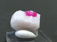 まの(*´∀｀*)人(◍ ´∞` ◍)様 リクエスト 2点 まとめ商品