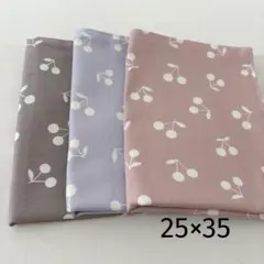 ハンドメイド 30×40 ランチョンマット3枚セット さくらんぼ 女の子
