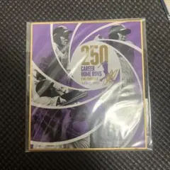 柳田悠岐　250HR記念グッズ