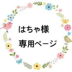 はちゃ様専用ページです♡