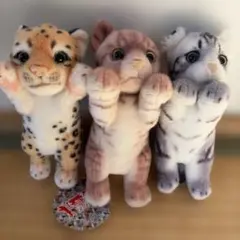 2026年最新】たっちぃzoo にゃんこの人気アイテム - メルカリ