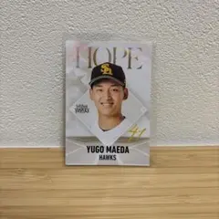 プロ野球チップス 前田悠伍