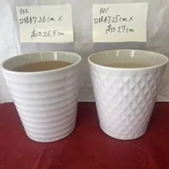901902 胡蝶蘭が入っていた植木鉢　陶器２個セット