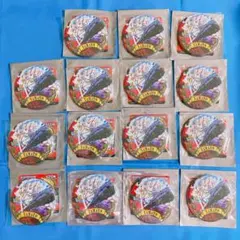 ONE PIECE ワンピース 人獣ヤマト 缶バッジ 15個セット