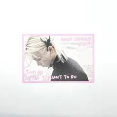 straykids Do It 限定盤 封入 ポストカード フィリックス②