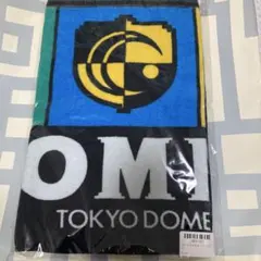 COMPLEX 日本一心 2024 エンブレム フェイスタオル 新品未開封