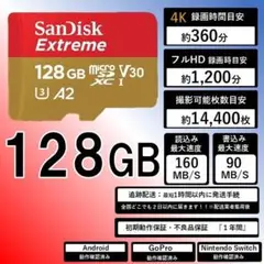 17.サンディスクExtreme microSDカード128GB .49