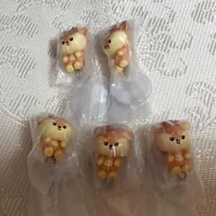 MINITEEN ジョシュア 5個セット - メルカリ
