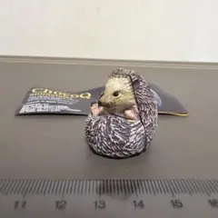 チョコQ マンシュウハリネズミのサムネイル