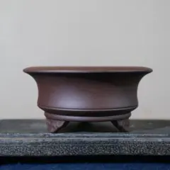 四方刻絵竹子紫砂鉢 大盆栽 小盆栽 多肉植物鉢 多肉植物鉢 紫砂鉢 盆栽鉢 植木鉢 小品盆栽鉢 大品盆栽鉢 - メルカリ
