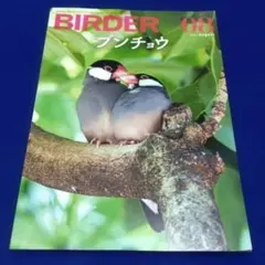BIRDER 2024年8月号　特集ブンチョウ