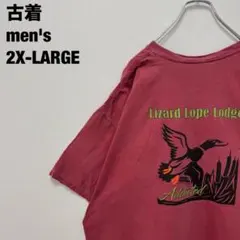 Item thumbnail for item 85d6de1c-be5d-46b1-9a7b-baa45fb5367f