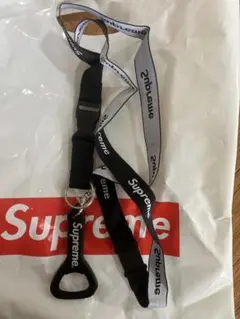 Item thumbnail for item 419228fa-7890-438a-9fa1-879377c3bae7