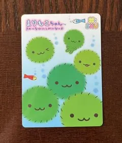 まりもこちゃん　ご当地　富士五湖限定　サンエックス まりもこちゃん | San-xネット
