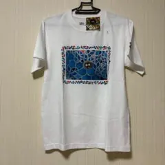 Item thumbnail for item a4f74e4f-a38d-437a-872a-76c2e7aac041