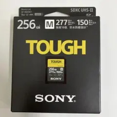 Item thumbnail for item bd9f2c22-b86a-4d27-bf64-37cca6a73352