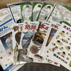 ハッピーセット　ずかん　まとめ売り