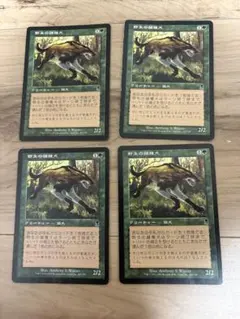 野生の雑種犬 日本語 foil - メルカリ