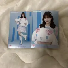 髙松瞳 シナモン セミコンプ