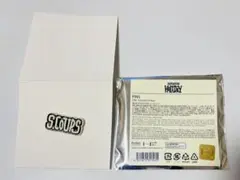 SEVENTEEN HOLIDAY PINS S.COUPS エスクプス