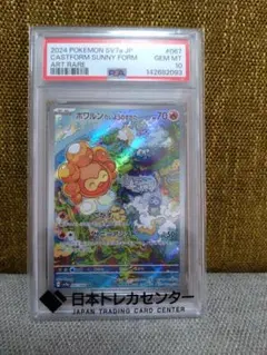 2026年最新】ポワルン ar psa10の人気アイテム - メルカリ
