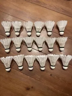 Item thumbnail for item d5040bc6-2015-4598-acda-be9fedecdce5